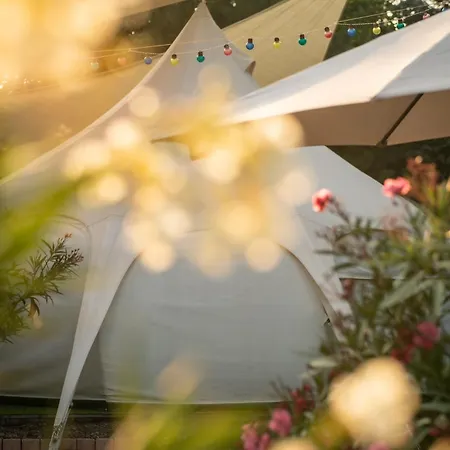 Lyxtält Lotus Glamping